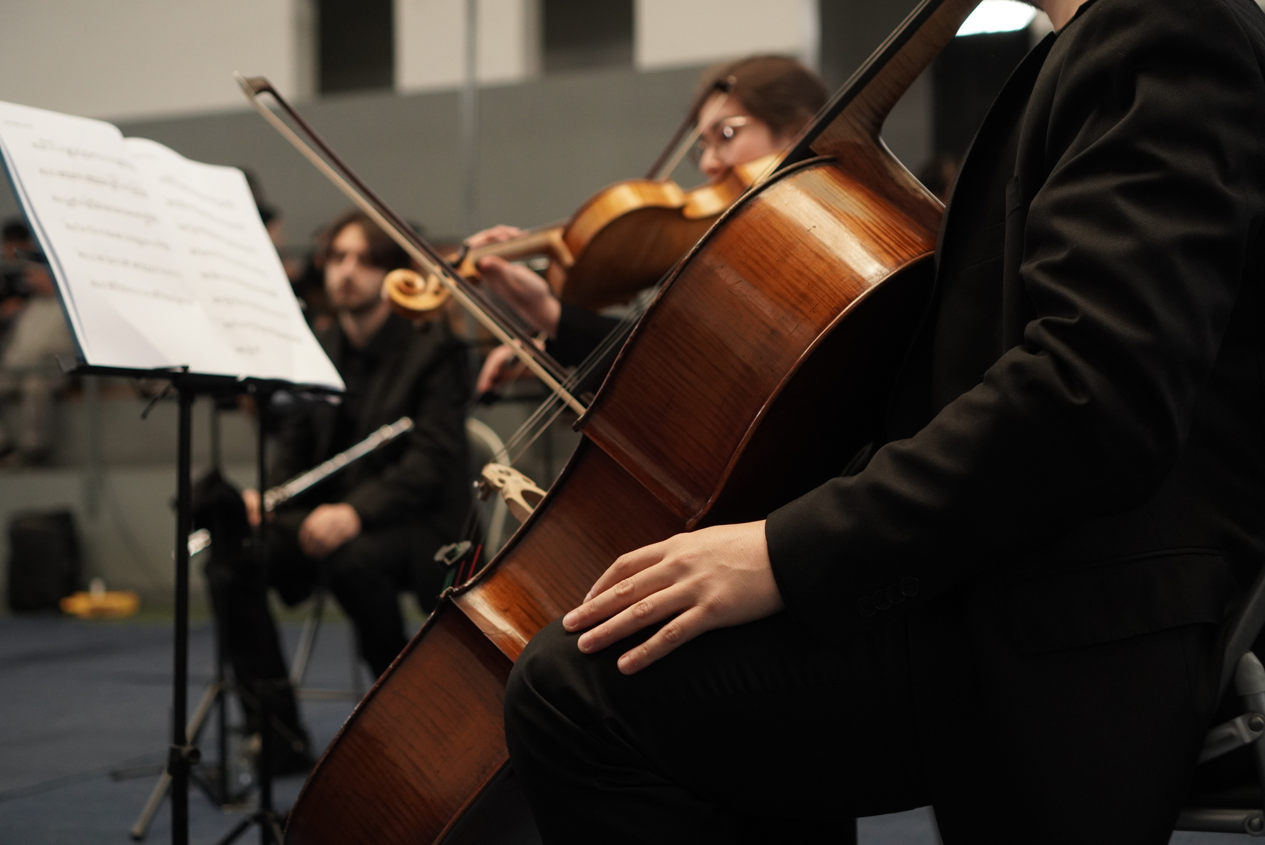 Músicos tocando instrumentos de cuerda